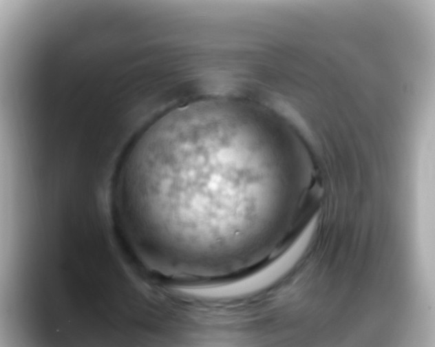 X0000088650626200706011221