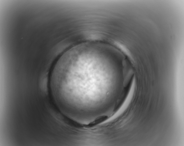 X0000088650627200706011221