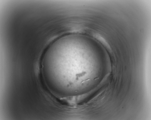 X0000088650628200706011221