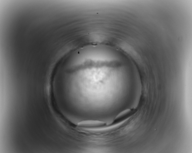 X0000088650630200706011221