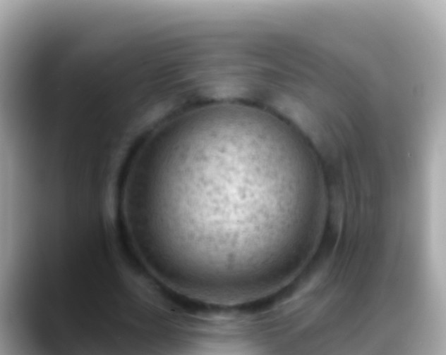 X0000088650631200706011221