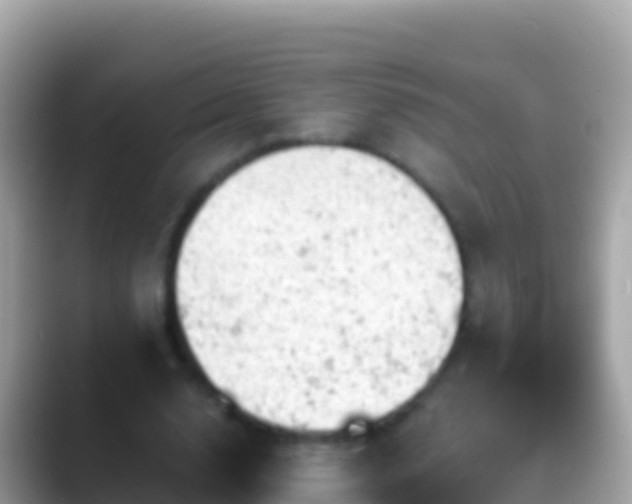 X0000088650632200706011221