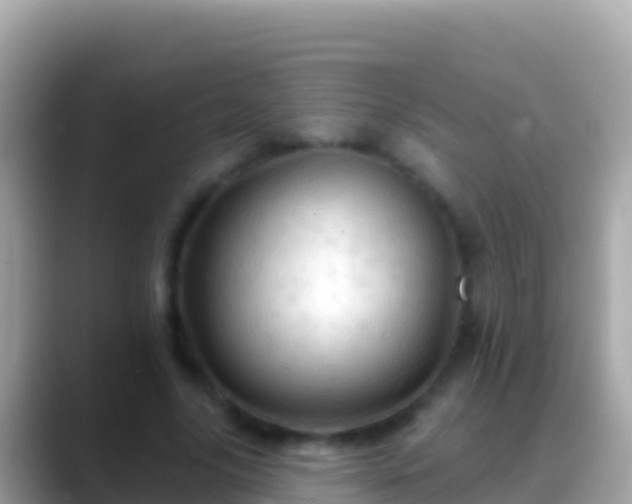 X0000088650635200706011222