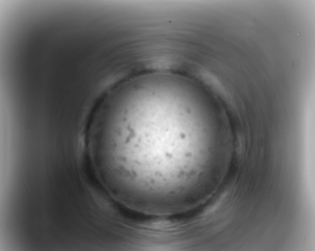 X0000088650636200706011222