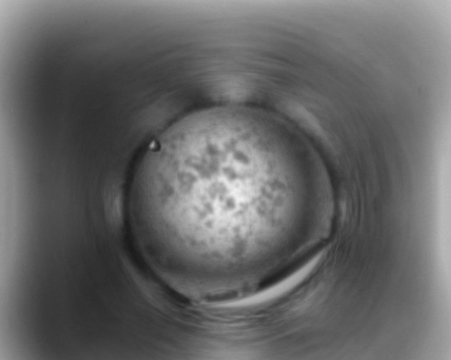 X0000088650638200706011222