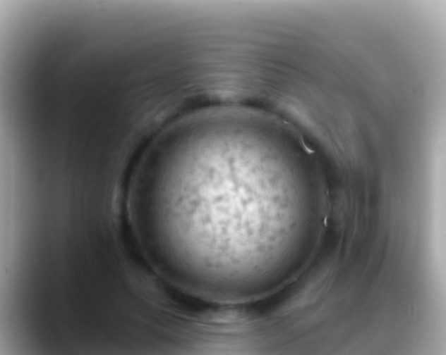 X0000088650639200706011222