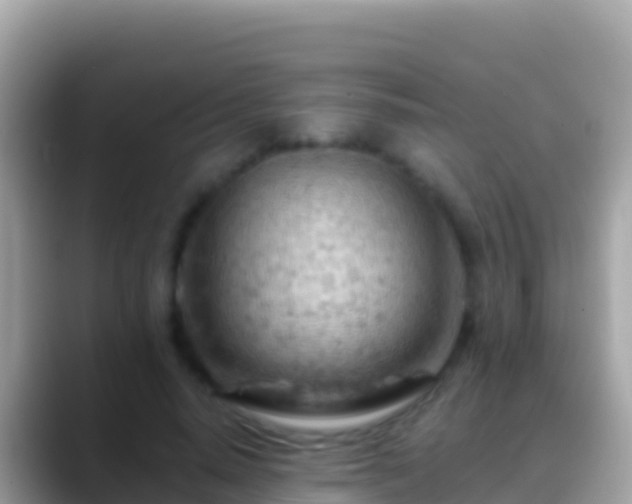 X0000088650640200706011222