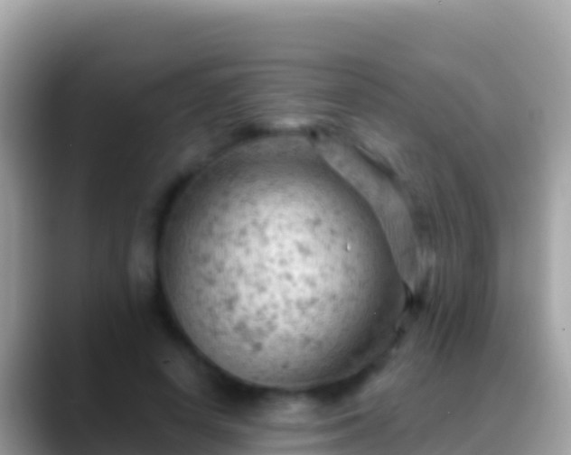 X0000088650642200706011222