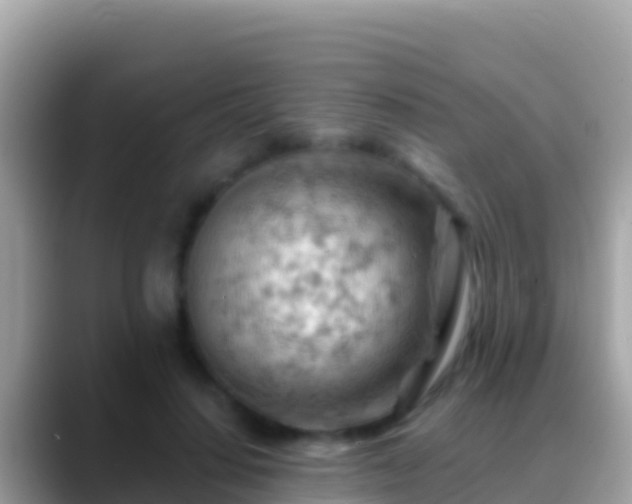 X0000088650644200706011222