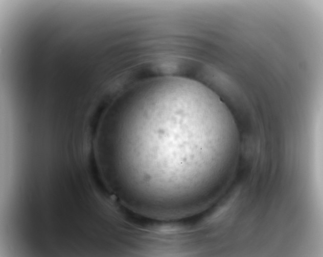 X0000088650645200706011222