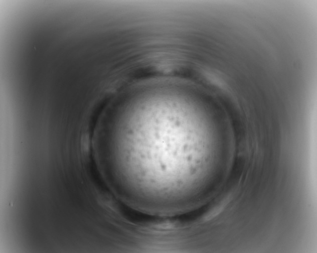 X0000088650646200706011222