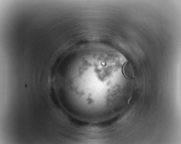 X0000088650648200706011222