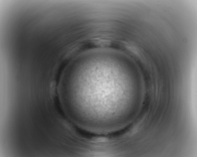 X0000088650649200706011222