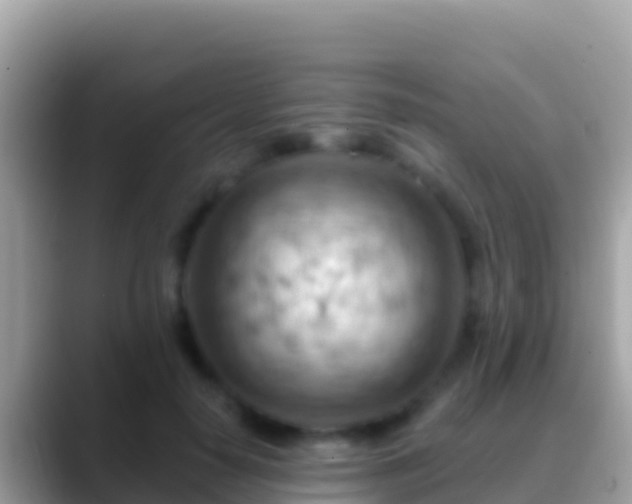 X0000088650650200706011222