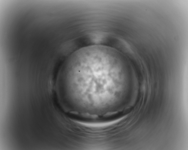 X0000088650651200706011222