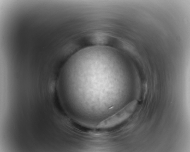 X0000088650652200706011222