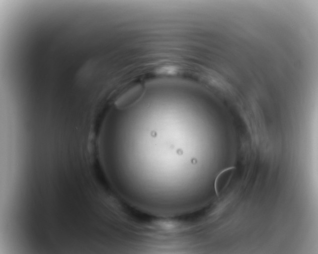 X0000088650654200706011222