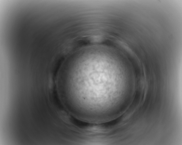 X0000088650655200706011222