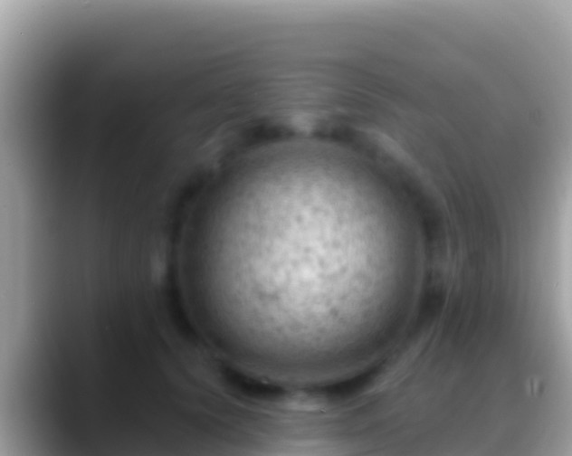 X0000088650656200706011222