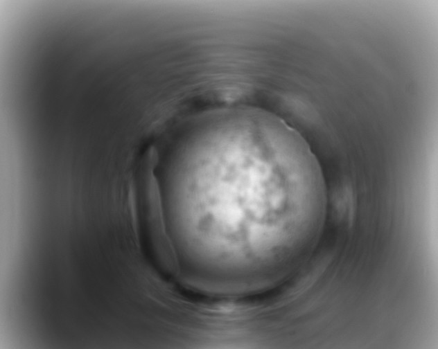 X0000088650657200706011222