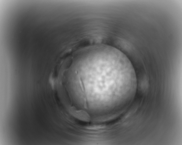 X0000088650661200706011222