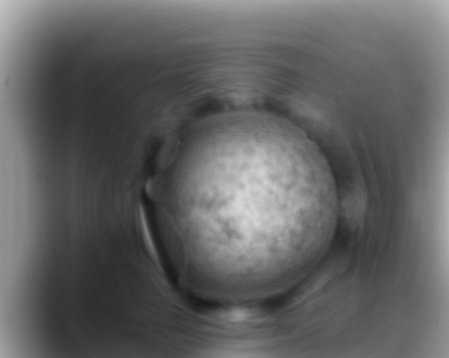 X0000088650662200706011222