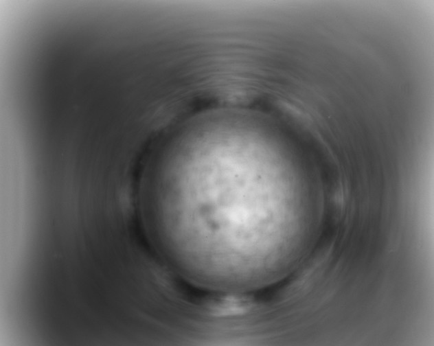 X0000088650663200706011222