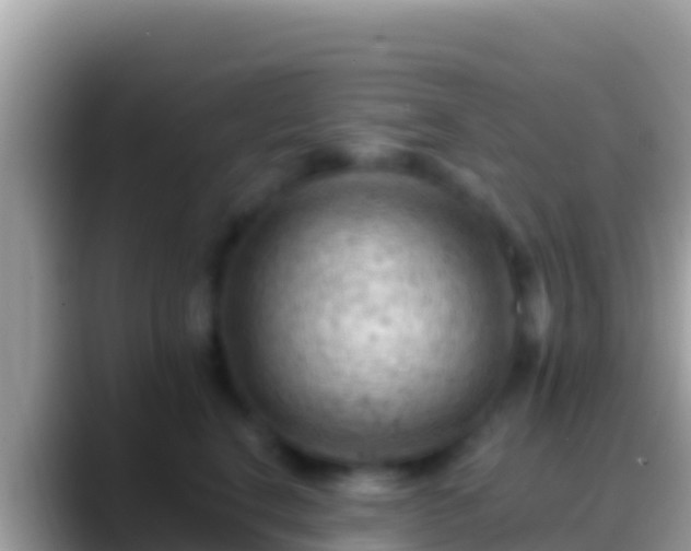 X0000088650664200706011222