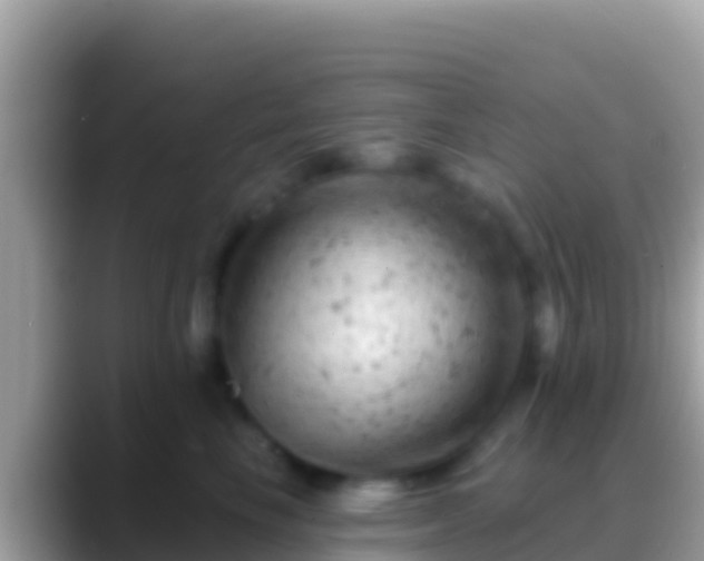 X0000088650665200706011222