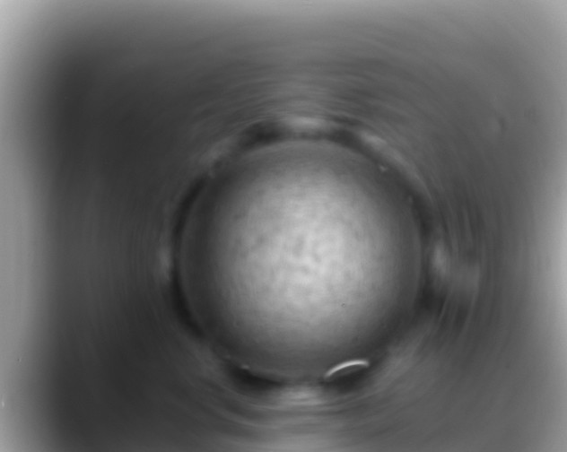 X0000088650668200706011222