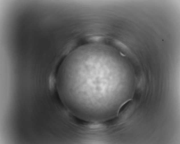 X0000088650669200706011222