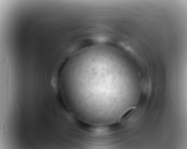 X0000088650670200706011222