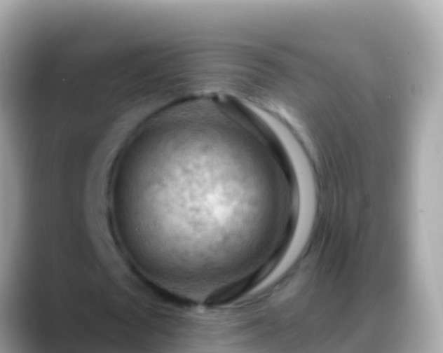 X0000088650673200706011221