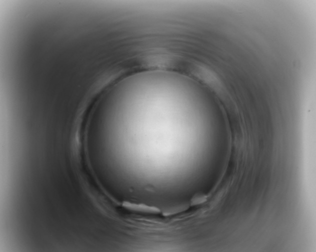 X0000088650674200706011221