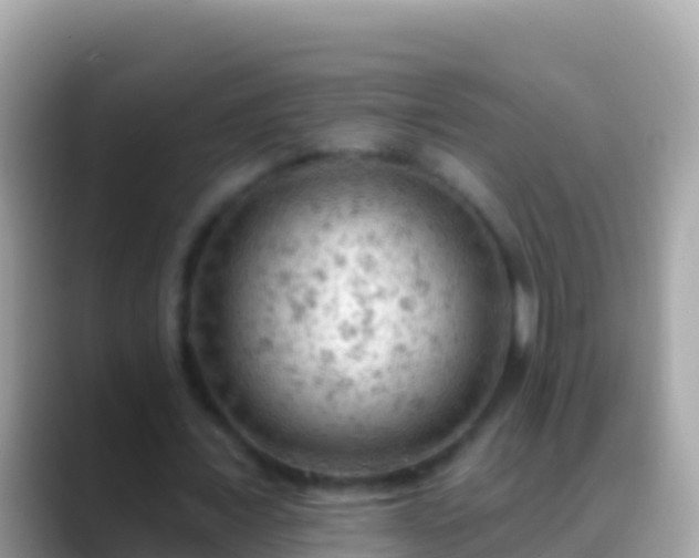 X0000088650675200706011221