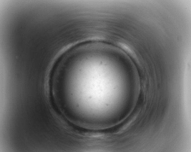 X0000088650676200706011221