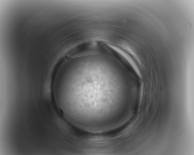 X0000088650677200706011221