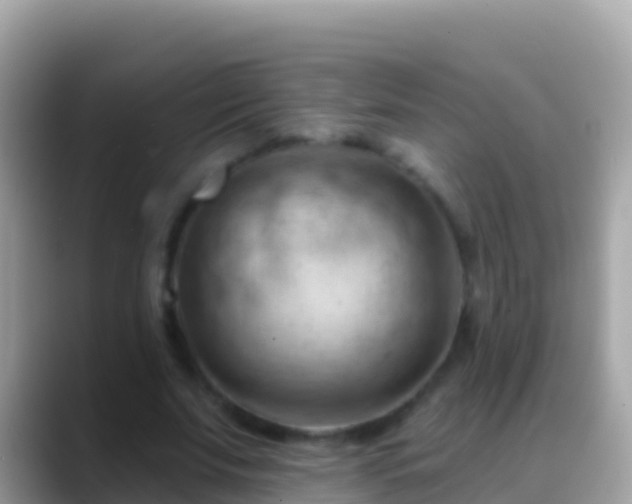 X0000088650679200706011221