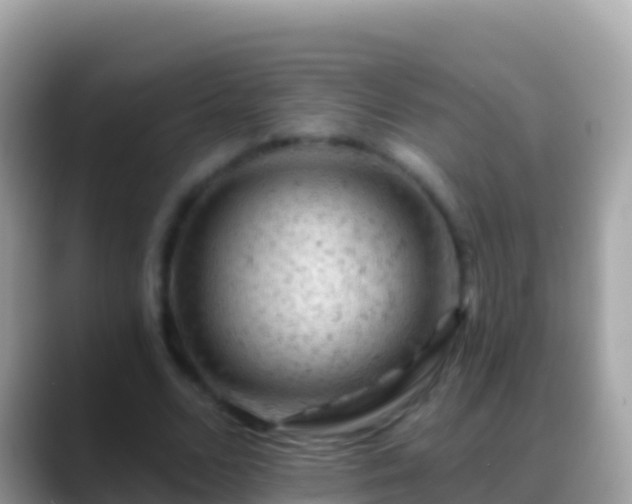 X0000088650680200706011221