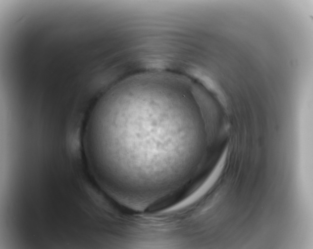 X0000088650681200706011221