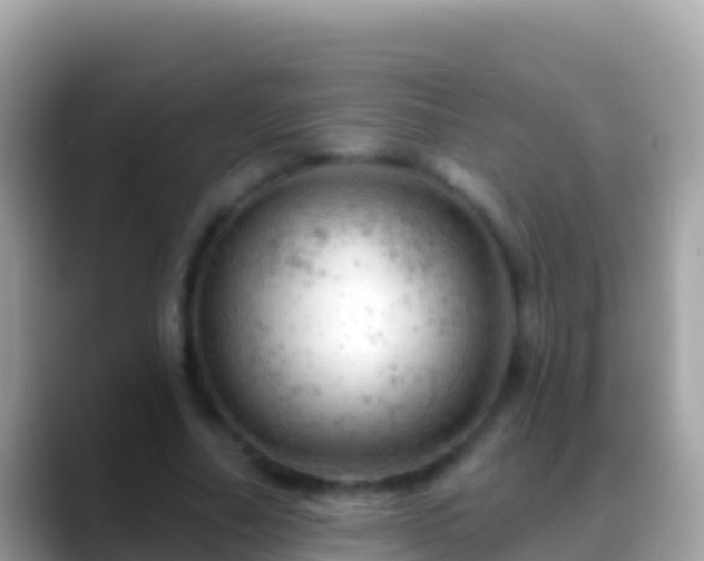 X0000088650682200706011221