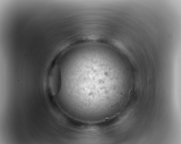 X0000088650683200706011221