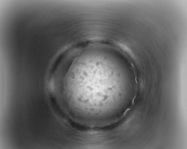 X0000088650684200706011221