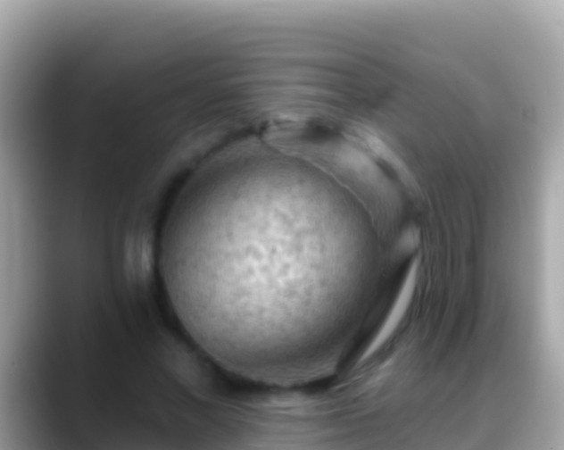 X0000088650685200706011221