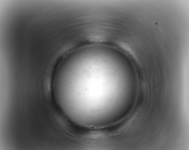 X0000088650686200706011221