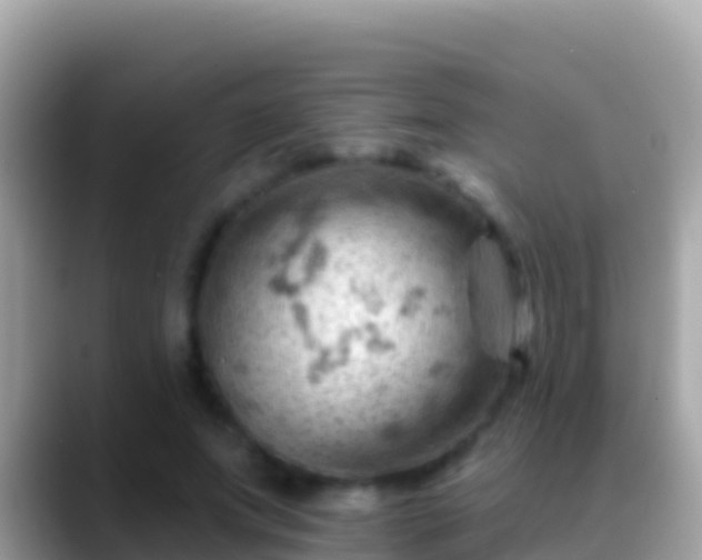 X0000088650687200706011221