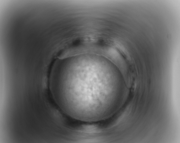 X0000088650689200706011221