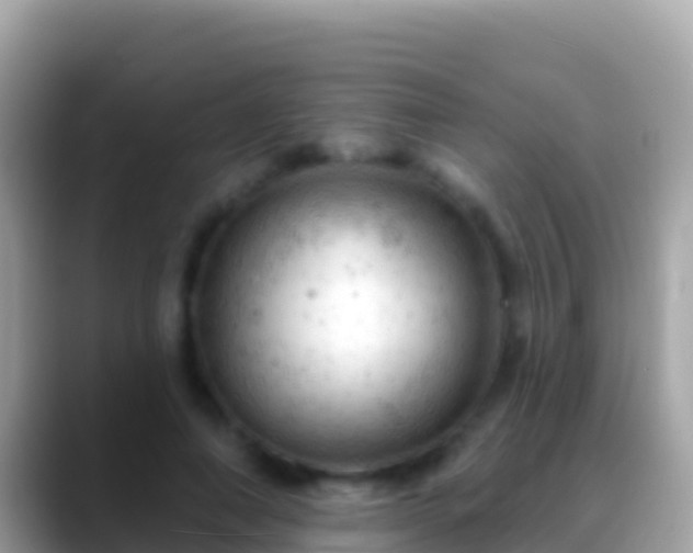 X0000088650690200706011221