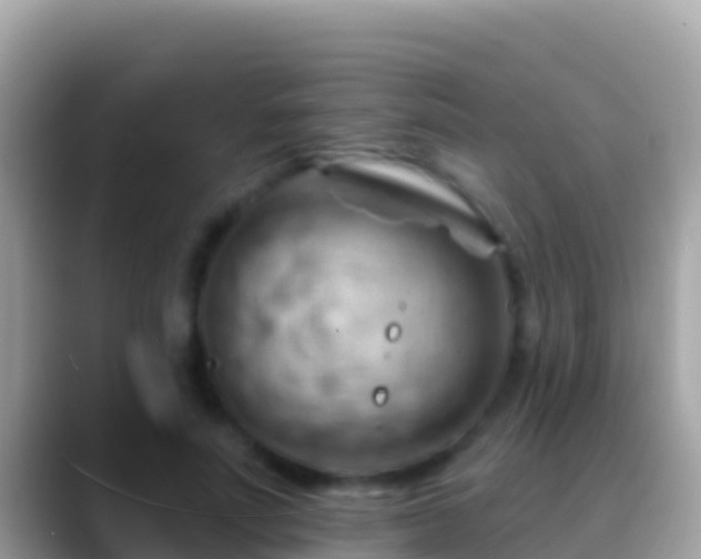 X0000088650691200706011221