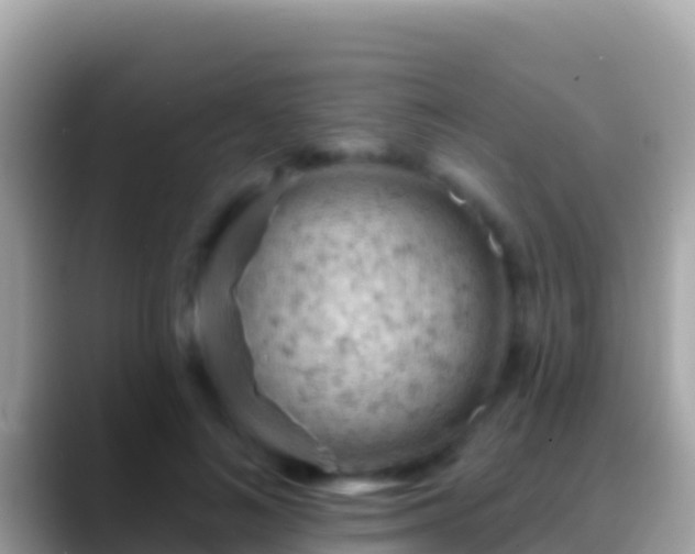 X0000088650692200706011221